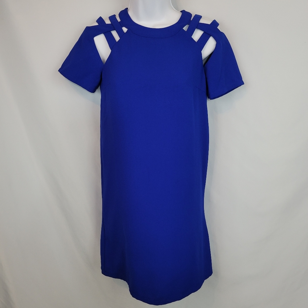 Lulu's Blue Dress